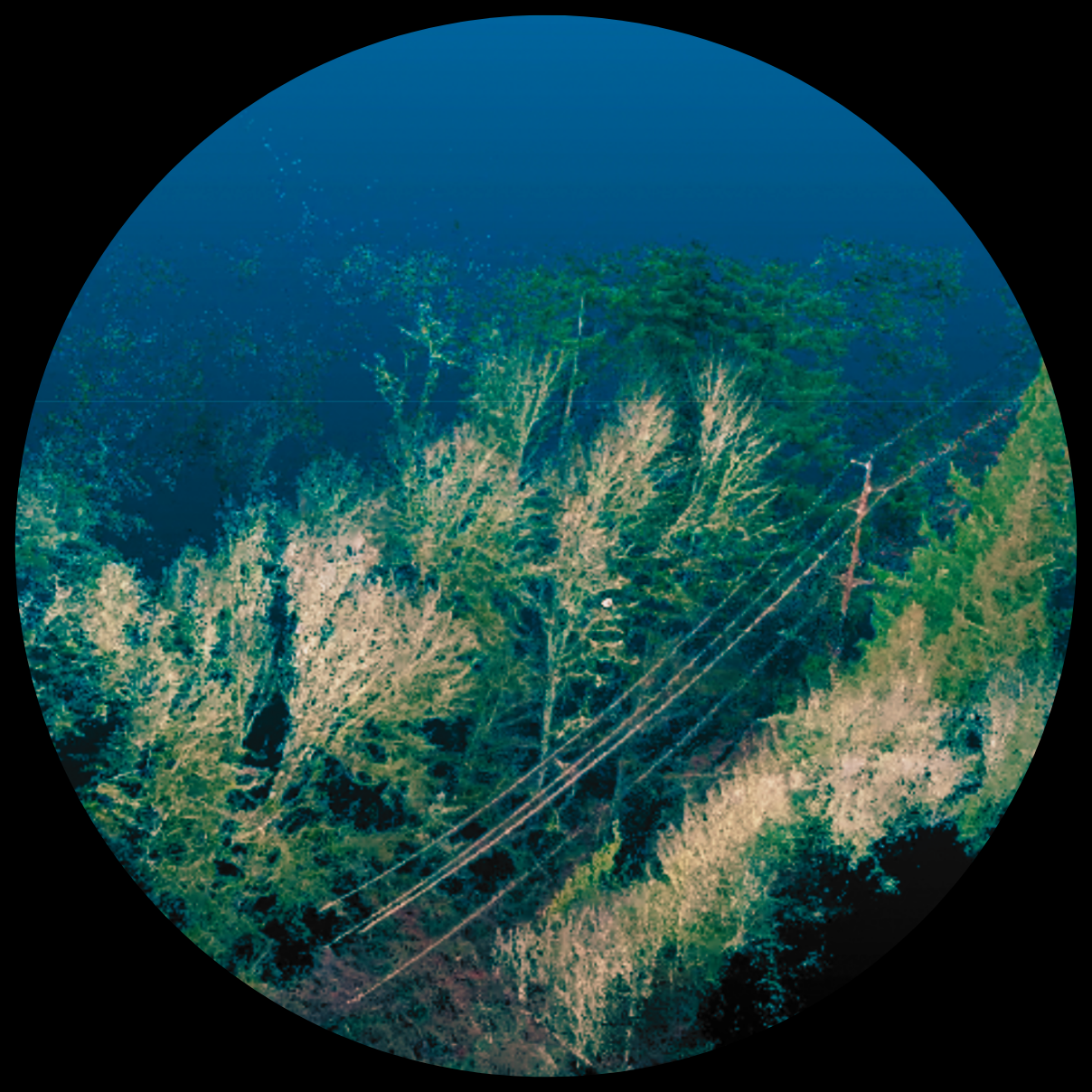 3D Mesh in Circle